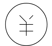 有料オプション