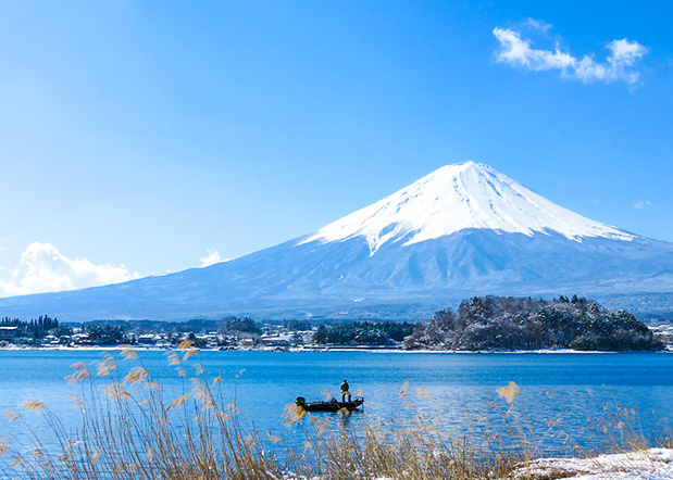 世界遺産 富士山の豊かな自然