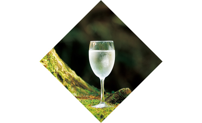 時を経て湧き出る、雄大な富士山のめぐみ