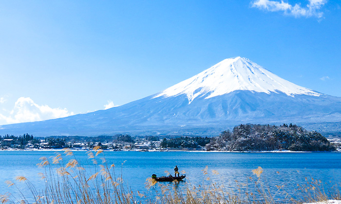 世界遺産 富士山の豊かな自然